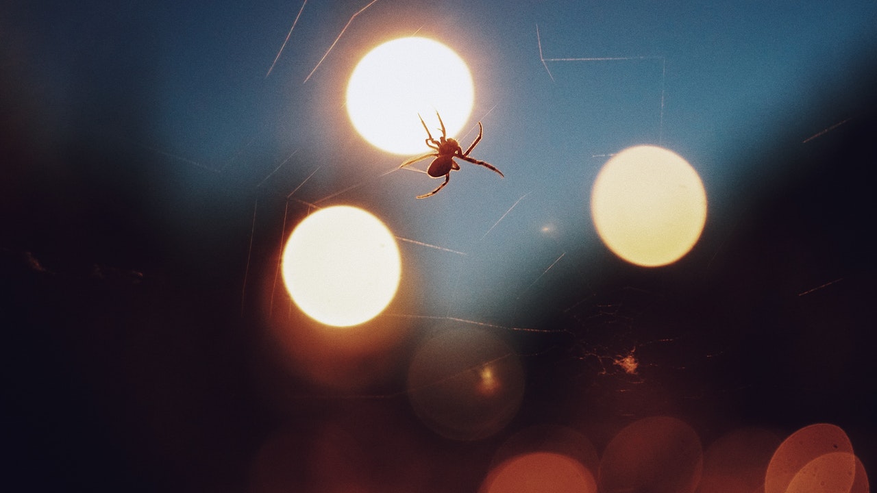 Spider in the lights at a football match